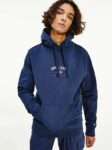 Sweat à capuche  Bleu Marine  "Twilight Navy"  - Tommy Jeans